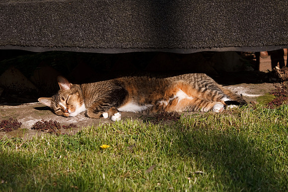 TAMRON AF 28-300mm f/3.5-6.3 XR