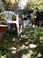 vignette back up 3