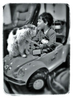 SNAPSEED NEXUS