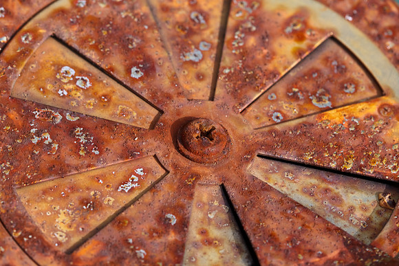 CANON 100mm F/2.8 MACRO
