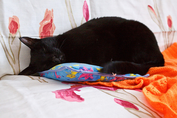 TAMRON SP AF 17-35mm f/2.8-4 Di